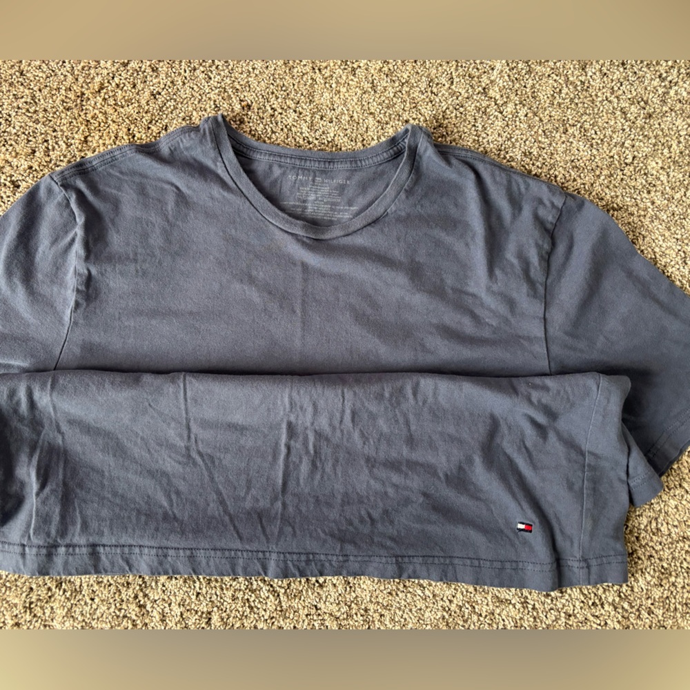 Tommy Hilfiger Blue Crewneck Tee